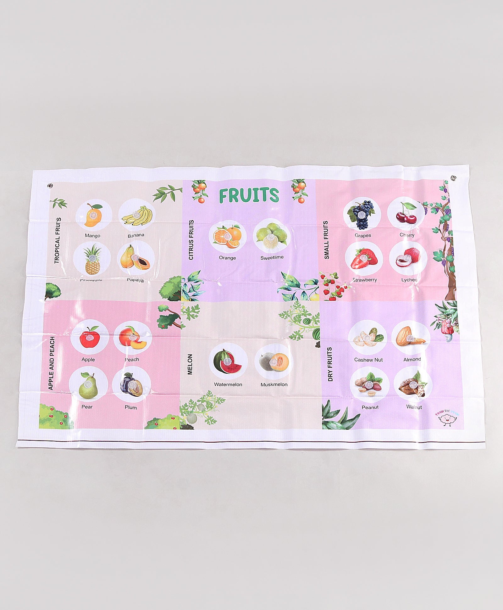 Play & Learn Fruits Activity Mat - Multicolour Woods for Dudes