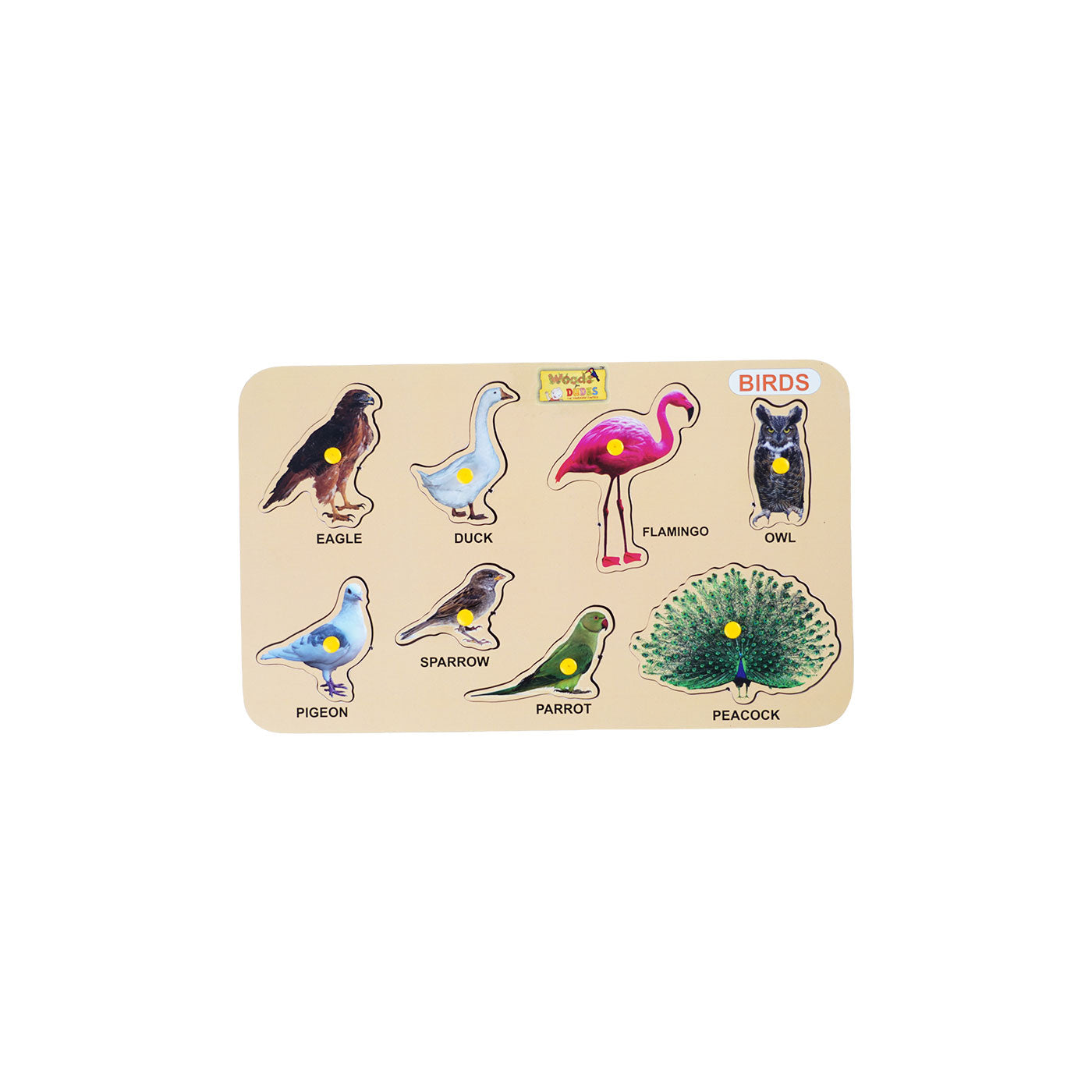 Birds Puzzle: Fun and Educational Toy for Kids Woods for Dudes