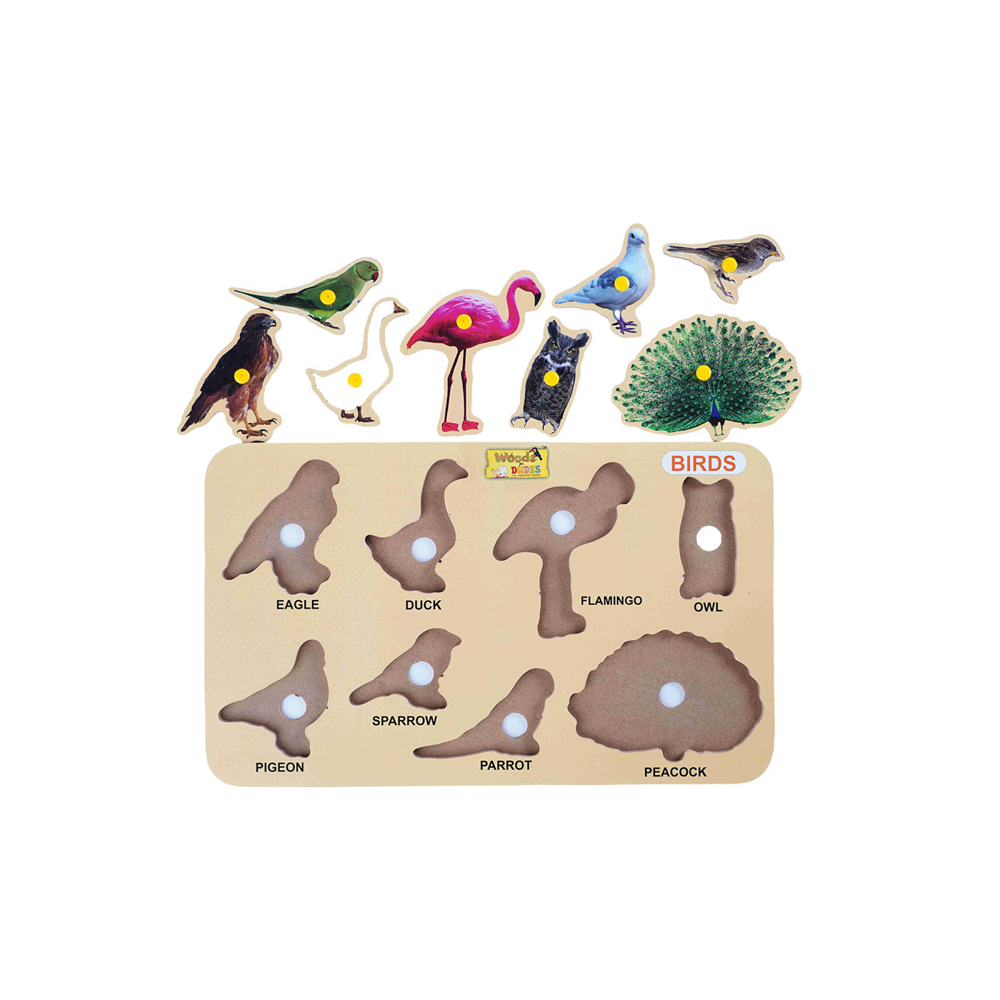 Birds Puzzle: Fun and Educational Toy for Kids Woods for Dudes