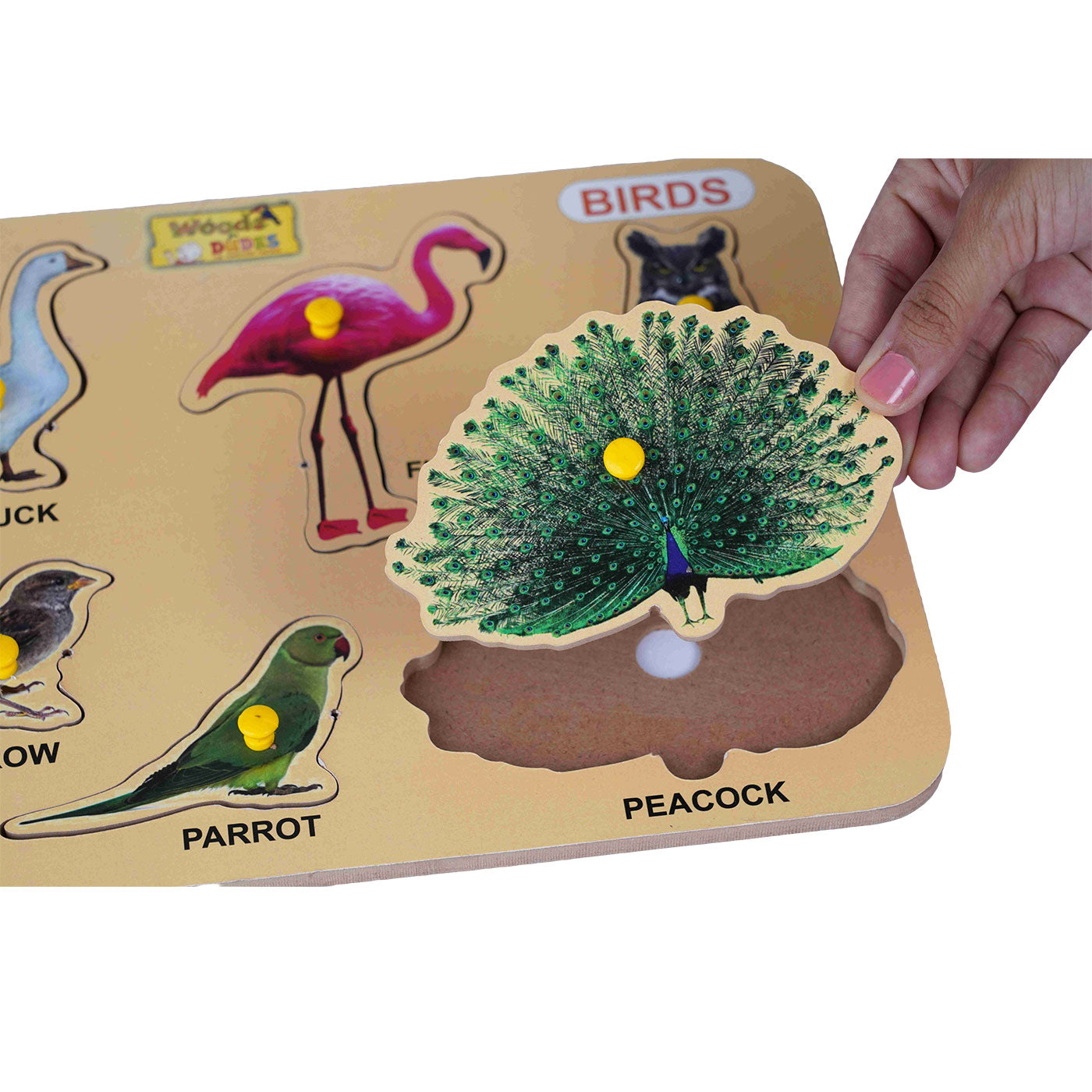 Birds Puzzle: Fun and Educational Toy for Kids Woods for Dudes