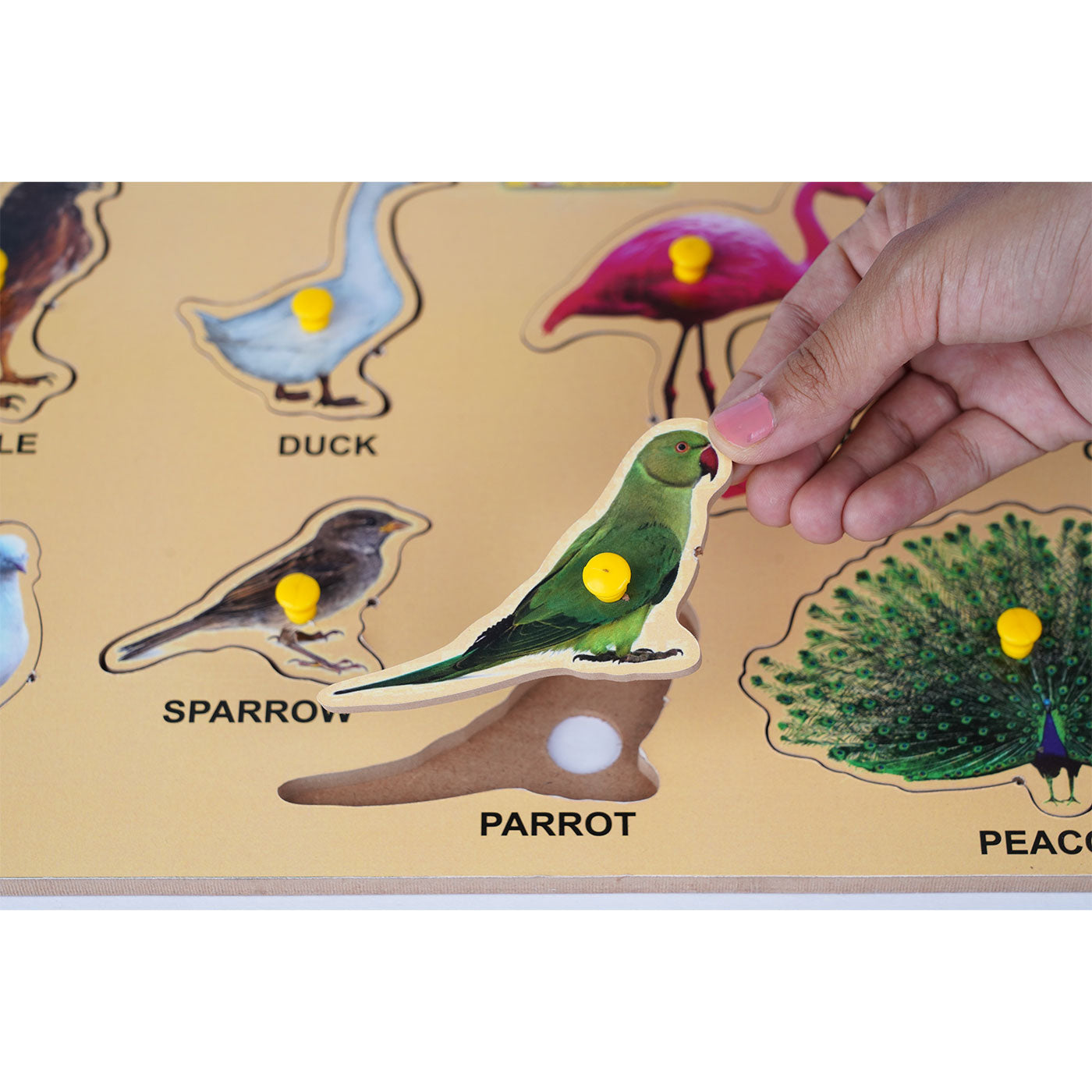 Birds Puzzle: Fun and Educational Toy for Kids Woods for Dudes