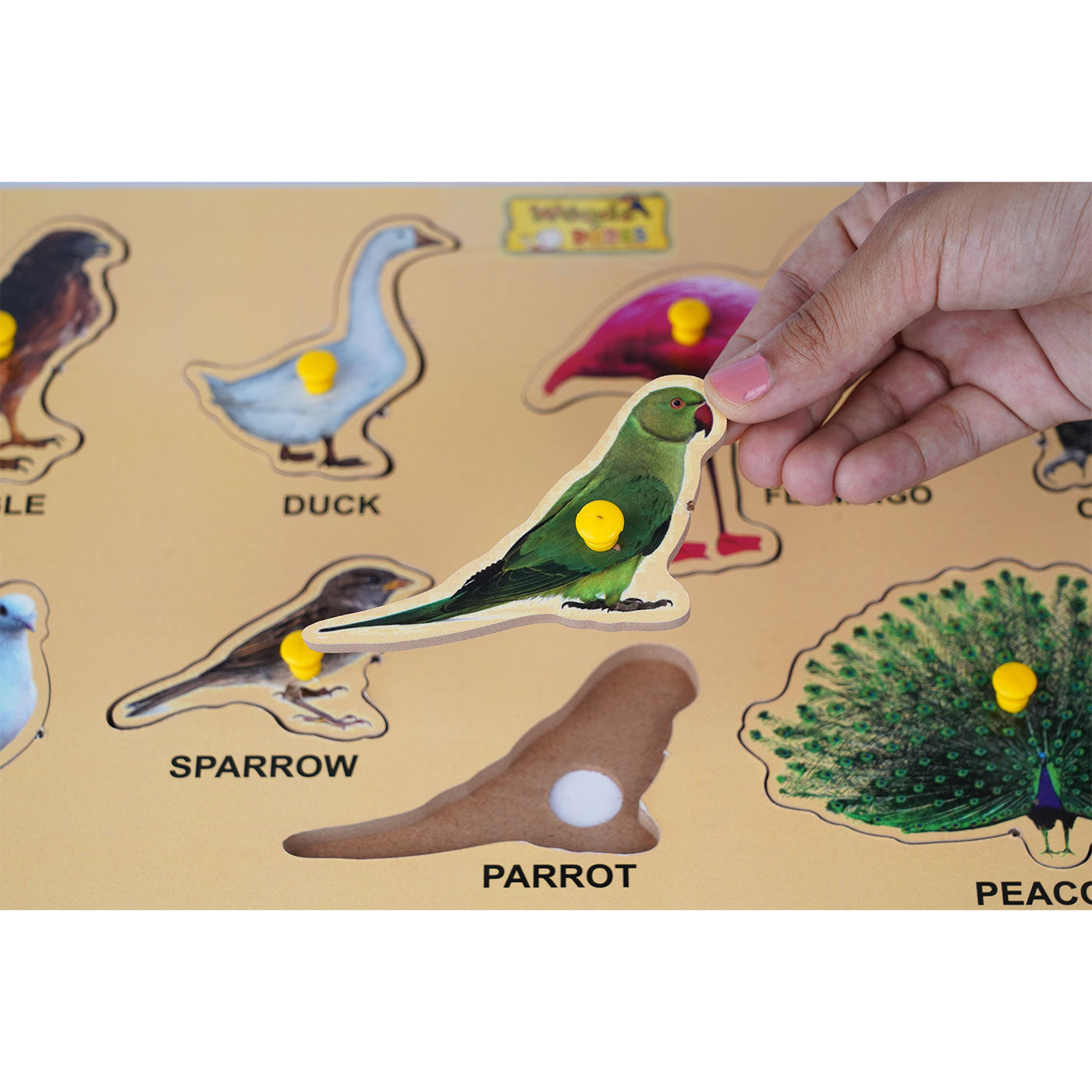 Birds Puzzle: Fun and Educational Toy for Kids Woods for Dudes