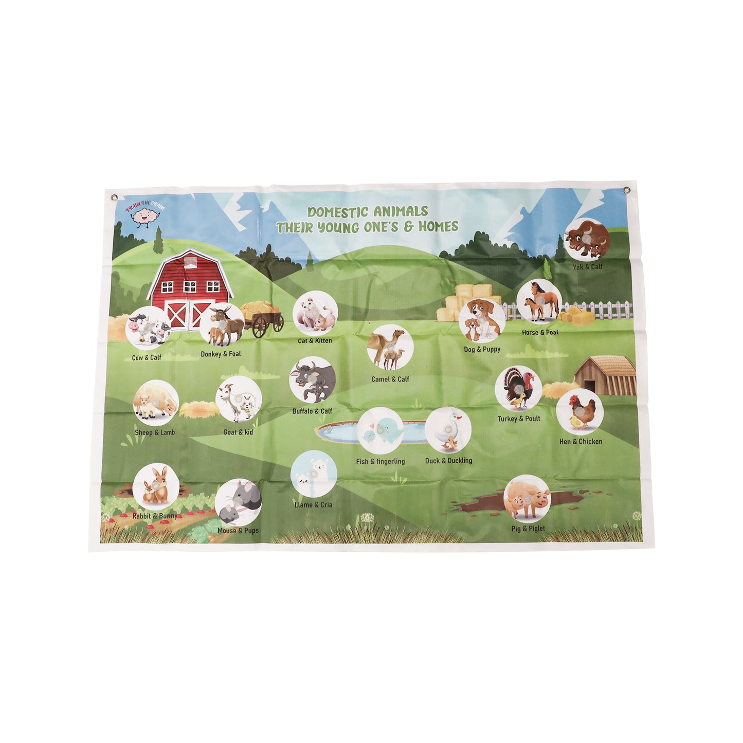 Domestic Animals Activity Mat Woods for Dudes