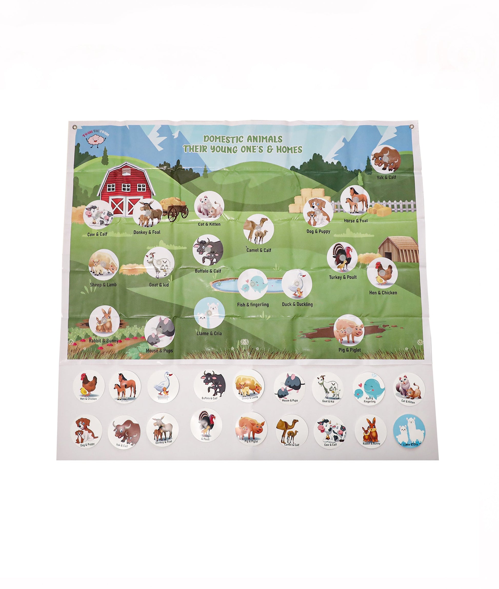 Domestic Animals Activity Mat Woods for Dudes